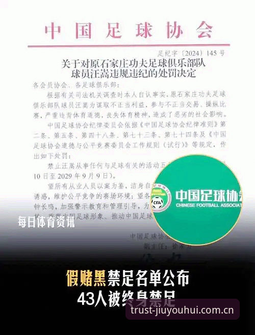 资深用户深度体验：足协第三批禁足名单背后的足球生态反思